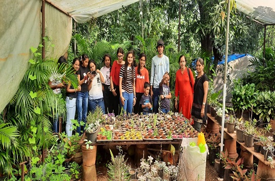 Study Tour at Waghai Botanical Garden