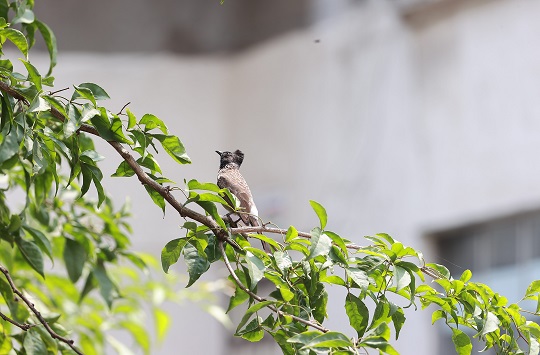Campus Visit by T.Y. B.Sc. Students Zoology
