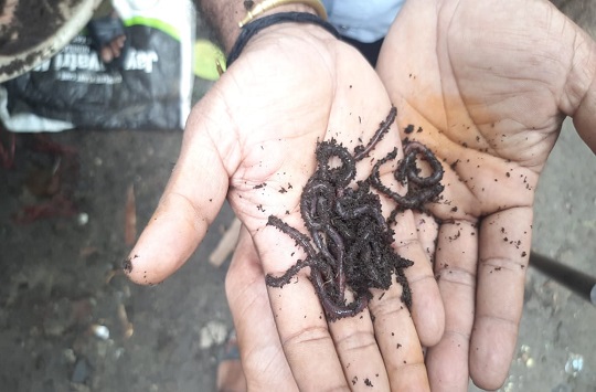 Visit of Vermicompost Unit